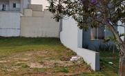 Lote