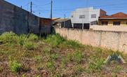 Lote