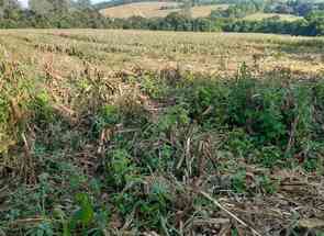 Fazenda, 1 Quarto em Centro, Turvolândia, MG valor de R$ 7.700.000,00 no Lugar Certo