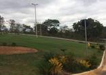 Lote