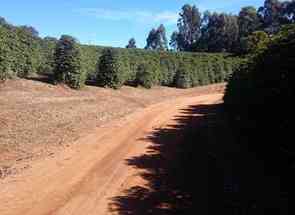 Fazenda, 3 Quartos, 1 Vaga, 1 Suite em Centro, Lambari, MG valor de R$ 32.000.000,00 no Lugar Certo