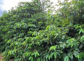 Fazenda, 3 Quartos em Zona Rural, Campanha, MG valor de R$ 12.000.000,00 no Lugar Certo