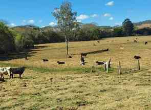 Fazenda, 4 Quartos, 1 Vaga em Centro, Lambari, MG valor de R$ 2.800.000,00 no Lugar Certo