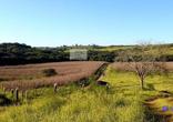 Fazenda, 5 Quartos, 2 Vagas