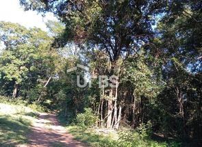 Rural em Rua dos Pedreiros, Cidade Livre, Aparecida de Goiânia, GO valor de R$ 1.000.000,00 no Lugar Certo