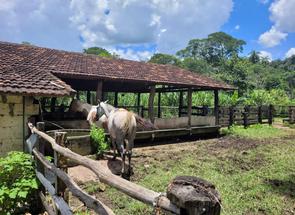 Fazenda em Zona Rural, Florestal, MG valor de R$ 1.500.000,00 no Lugar Certo