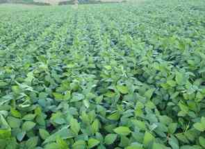 Fazenda em Centro, Seritinga, MG valor de R$ 22.000.000,00 no Lugar Certo