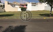 Lote