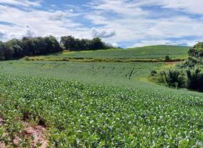 Fazenda, 3 Quartos em Zona Rural, Conceição do Rio Verde, MG valor de R$ 14.000.000,00 no Lugar Certo