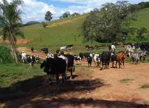 Fazenda, 2 Quartos, 1 Suite em Centro, Serranos, MG valor de R$ 5.900.000,00 no Lugar Certo