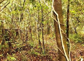 Lote em Condomínio Estância da Mata, Jaboticatubas, MG valor de R$ 700.000,00 no Lugar Certo