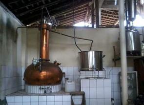 Fazenda, 4 Quartos, 10 Vagas, 4 Suites em Centro, Porto Firme, MG valor de R$ 4.000.000,00 no Lugar Certo