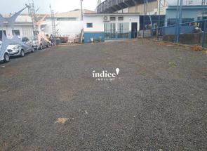 Lote, 20 Vagas para alugar em Avenida Maria de Jesus Condeixa, Jardim Palma Travassos, Ribeirão Preto, SP valor de R$ 8.500,00 no Lugar Certo