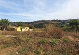 Lote