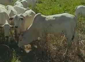 Fazenda, 4 Quartos em Zona Rural, Oliveira, MG valor de R$ 15.000.000,00 no Lugar Certo