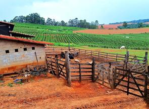 Fazenda, 3 Quartos em Zona Rural, Machado, MG valor de R$ 3.000.000,00 no Lugar Certo