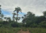 Fazenda