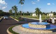 Lote