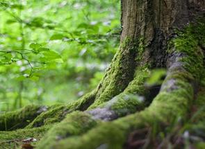 Lote em Gentileza, Betim, MG valor de R$ 329.000,00 no Lugar Certo