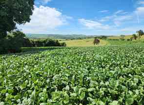 Fazenda, 3 Quartos, 2 Vagas, 1 Suite em Zona Rural, Nepomuceno, MG valor de R$ 17.000.000,00 no Lugar Certo