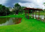 Lote
