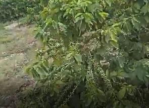 Fazenda em Zona Rural, Carmo do Rio Claro, MG valor de R$ 6.000.000,00 no Lugar Certo