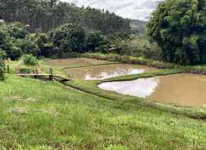 Fazenda, 4 Quartos, 10 Vagas, 1 Suite em Centro, Passa Tempo, MG valor de R$ 4.800.000,00 no Lugar Certo