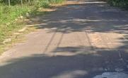 Lote