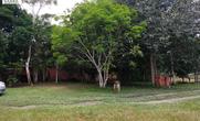 Rural, 2 Quartos