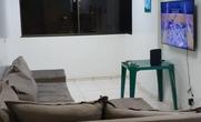 Apartamento, 4 Quartos, 1 Vaga, 2 Suites