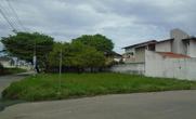 Lote