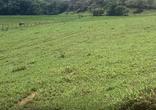 Fazenda, 3 Quartos
