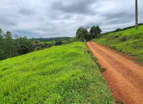 Fazenda, 1 Quarto em Zona Rural, Elói Mendes, MG valor de R$ 4.100.000,00 no Lugar Certo