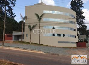 Sala, 2 Vagas para alugar em Quinta Avenida, Vale do Sol, Nova Lima, MG valor de R$ 5.000,00 no Lugar Certo
