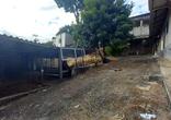 Lote