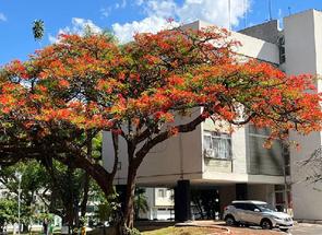 Apartamento em Asa Sul, Brasília/Plano Piloto, DF valor de R$ 0,00 no Lugar Certo