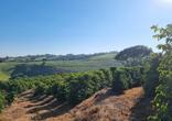 Fazenda