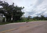 Lote
