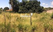 Lote