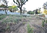 Lote, 8 Vagas