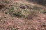 Lote a venda em Itabirito, MG no valor de R$ 120.000,00 no LugarCerto
