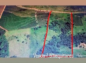 Fazenda em Centro, Nepomuceno, MG valor de R$ 420.000,00 no Lugar Certo