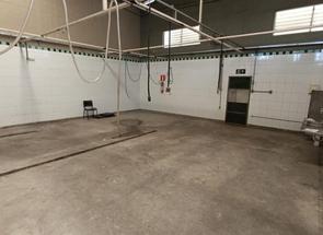 Galpão, 3 Vagas para alugar em Califórnia, Belo Horizonte, MG valor de R$ 9.000,00 no Lugar Certo