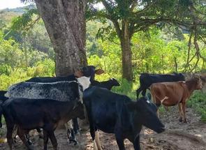 Fazenda, 4 Quartos, 2 Vagas em Zona Rural, Itapecerica, MG valor de R$ 3.800.000,00 no Lugar Certo