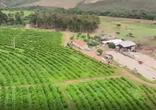 Fazenda
