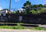 Lote