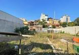 Lote