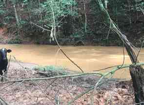 Fazenda em Zona Rural, Nepomuceno, MG valor de R$ 400.000,00 no Lugar Certo