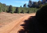 Fazenda, 3 Quartos, 1 Vaga, 1 Suite