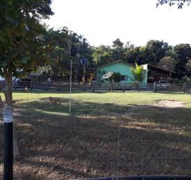 Chácara, 6 Quartos em Setor Central, Santa Cruz de Goiás, GO valor de R$ 1.000.000,00 no Lugar Certo